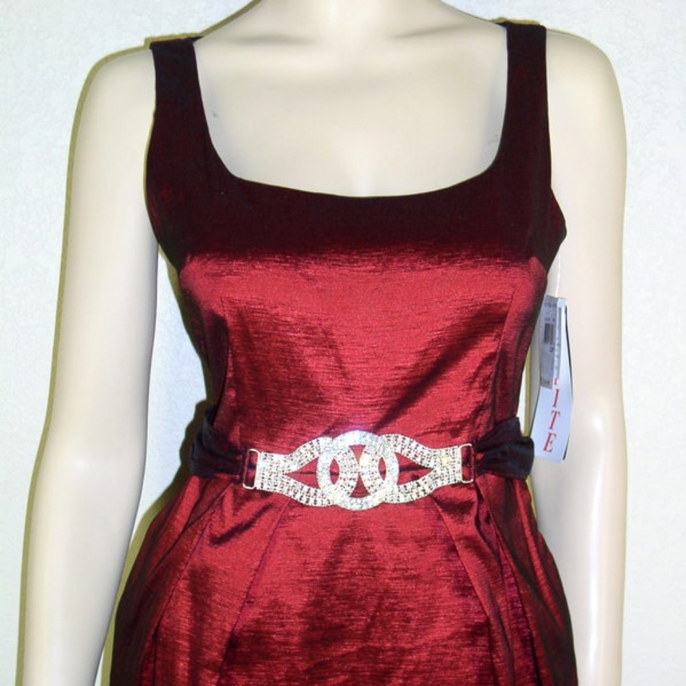 Betsy & Adam NWT Taffeta Ring Belt Sash Dress